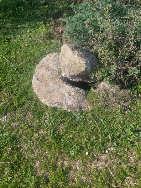 קובץ:2025-01-25T14 05 48.47606537220.jpg