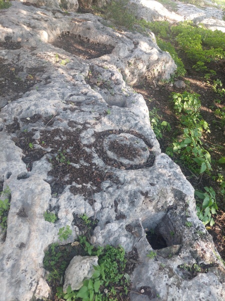 קובץ:2025-01-25T15 03 52.835323846623.jpg