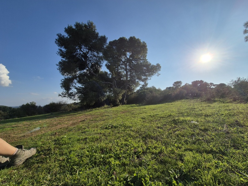 קובץ:2025-01-25T15 22 08.937284731915.jpg