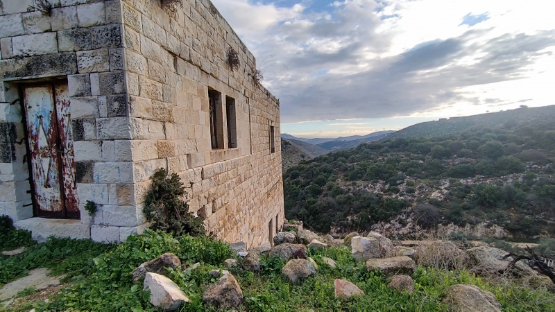 קובץ:2025-01-25T21 44 39.352944274990.jpg