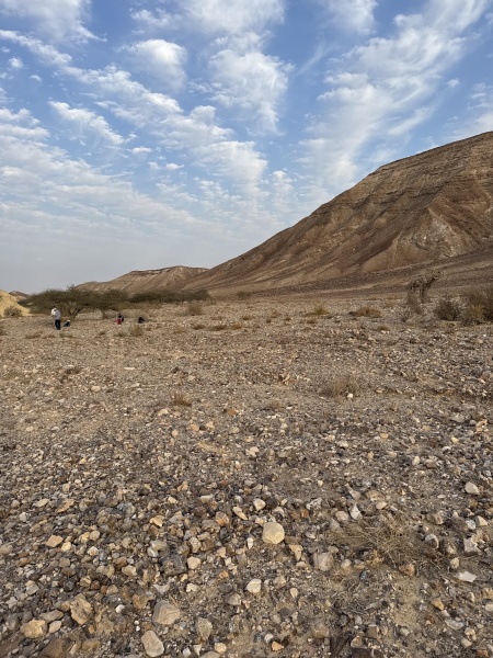 קובץ:2025-01-28T16 02 41.156758582381.jpg