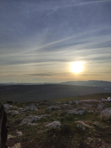 קובץ:2025-02-02T16 31 10.851659498542.jpg