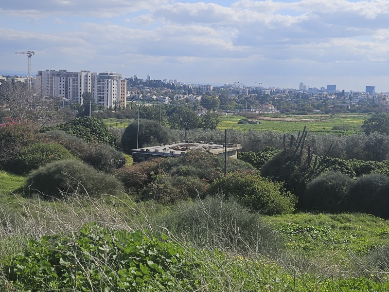 קובץ:2025-02-08T13 28 28.600107672106.jpg