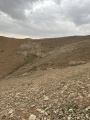 תמונה ממוזערת לגרסה מתאריך 13:32, 14 במרץ 2025
