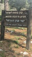 תמונה ממוזערת לגרסה מתאריך 08:35, 28 במרץ 2025