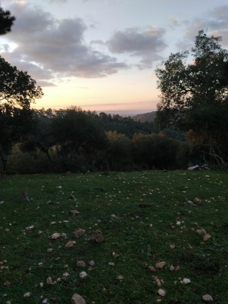 קובץ:2025-02-14T06 33 00.548532206442.jpg