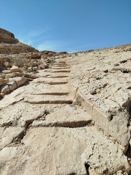 קובץ:2025-02-18T12 27 57.661518213847.jpg