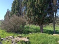 תמונה ממוזערת לגרסה מתאריך 14:48, 24 במרץ 2025