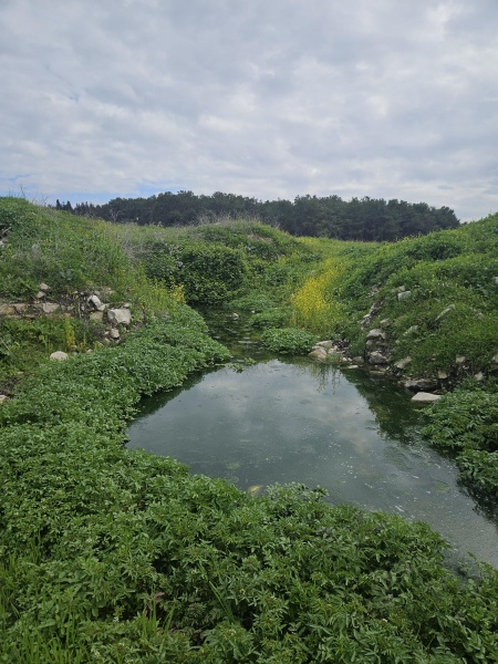 קובץ:2025-02-22T11 28 02.327741292493.jpg