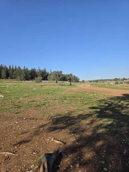 קובץ:2025-02-28T15 36 10.471364914356.jpg