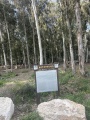 תמונה ממוזערת לגרסה מתאריך 05:25, 15 באפריל 2025