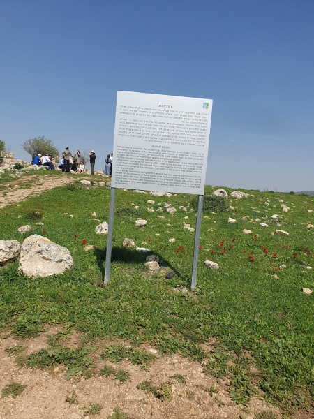 קובץ:2025-03-08T16 13 15.502883896105.jpg