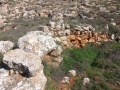 תמונה ממוזערת לגרסה מתאריך 07:02, 10 במרץ 2025