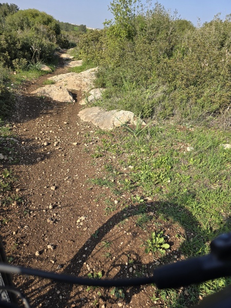 קובץ:2025-03-11T15 31 26.28667749463.jpg