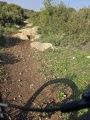 תמונה ממוזערת לגרסה מתאריך 05:54, 14 במרץ 2025