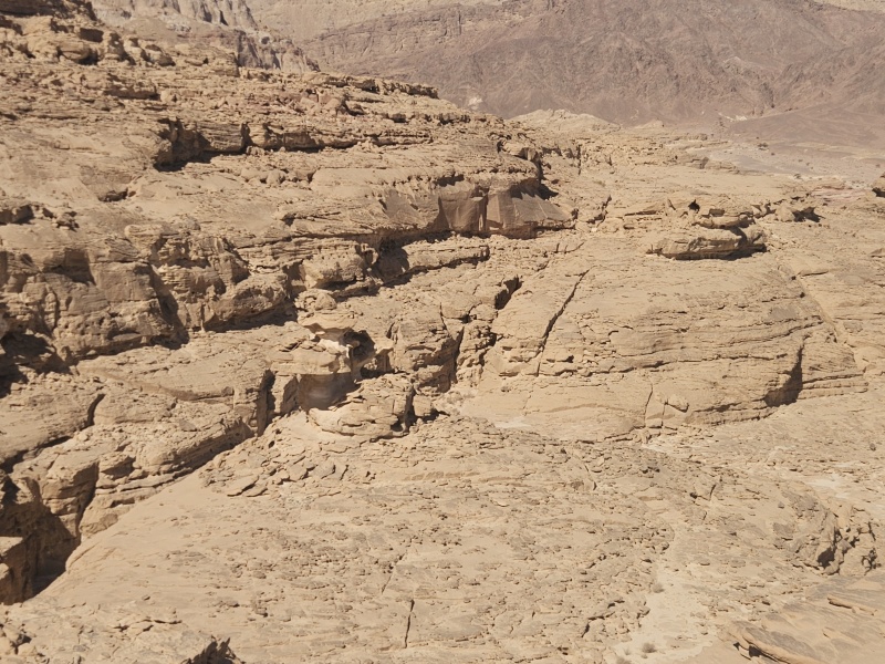 קובץ:2025-03-12T09 47 13.250171715816.jpg