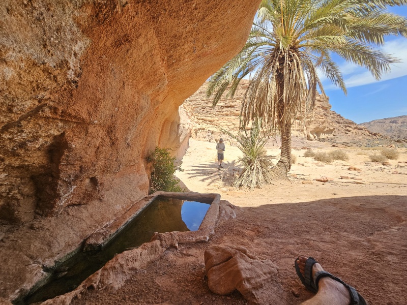 קובץ:2025-03-13T11 12 23.834273434476.jpg