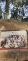 תמונה ממוזערת לגרסה מתאריך 05:18, 14 במרץ 2025