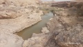תמונה ממוזערת לגרסה מתאריך 07:21, 14 במרץ 2025