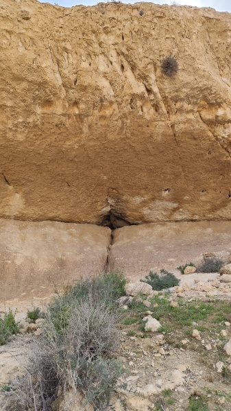 קובץ:2025-03-14T10 22 10.058126254420.jpg