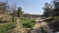 תמונה ממוזערת לגרסה מתאריך 12:38, 15 במרץ 2025