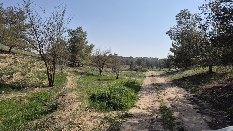 קובץ:2025-03-15T14 56 24.823551619773.jpg