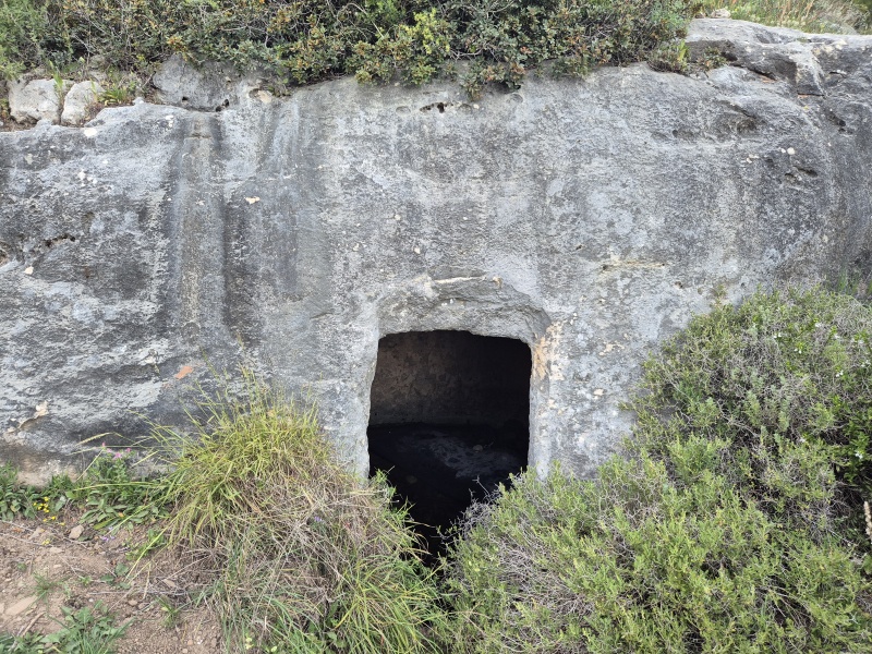 קובץ:2025-03-18T17 39 50.29719119899.jpg
