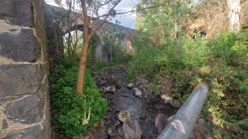 קובץ:2025-03-19T16 24 05.846988957522.jpg