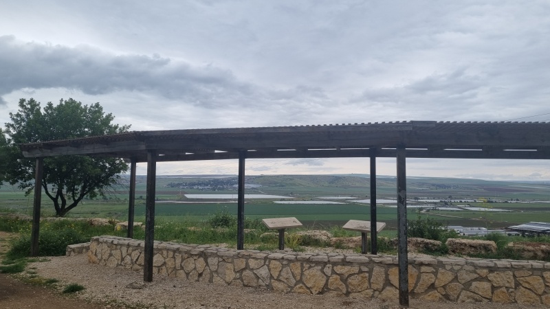קובץ:2025-03-21T10 05 08.498734406551.jpg