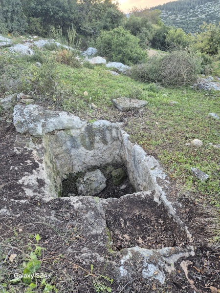 קובץ:2025-03-21T17 34 30.508157560144.jpg