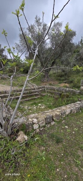 קובץ:2025-03-22T10 07 39.339031578767.jpg