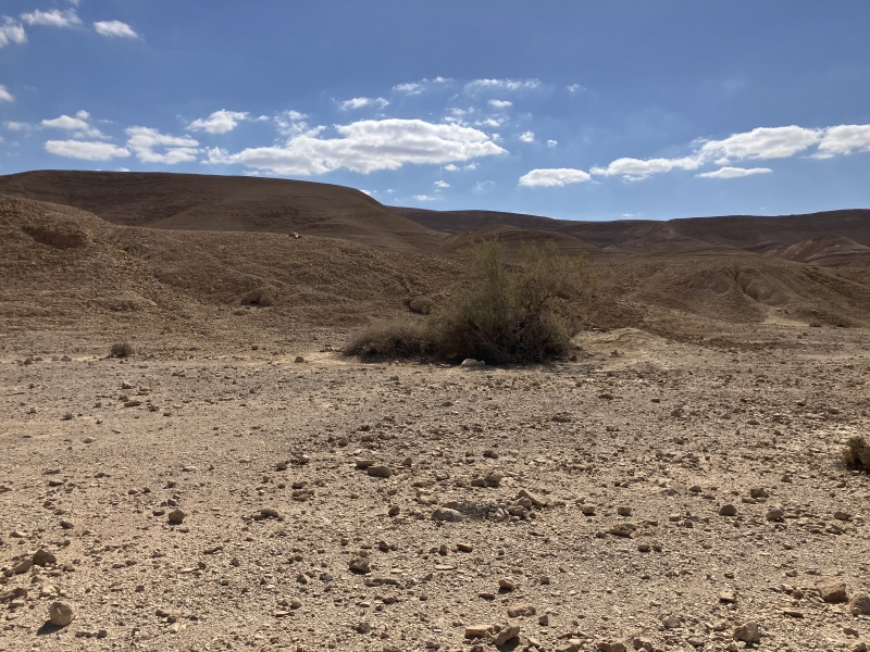 קובץ:2025-03-22T14 38 00.25844693687.jpg