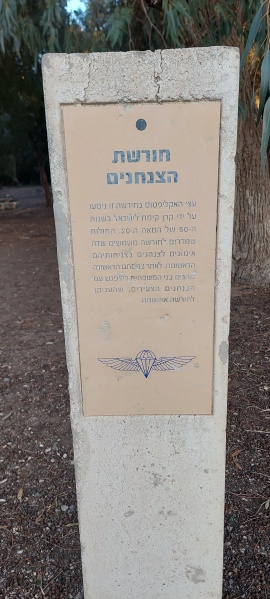 קובץ:2025-03-23T17 24 37.720014935981.jpg