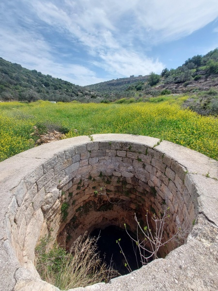 קובץ:2025-03-24T08 05 43.242209977581.jpg