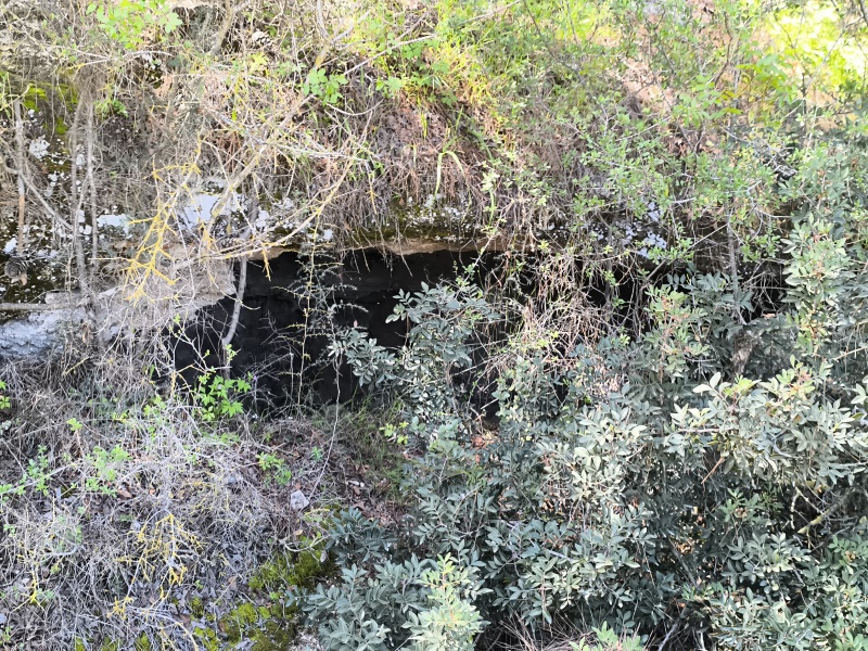 קובץ:2025-03-24T11 08 44.099243792147.jpg