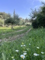 תמונה ממוזערת לגרסה מתאריך 13:39, 26 במרץ 2025