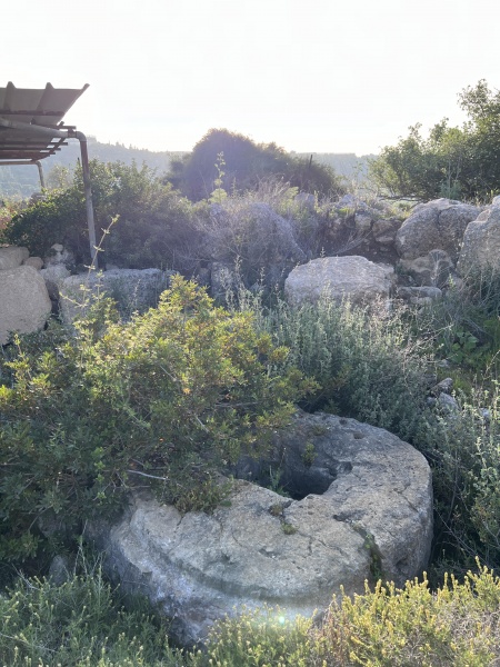 קובץ:2025-03-26T16 54 51.966885799520.jpg