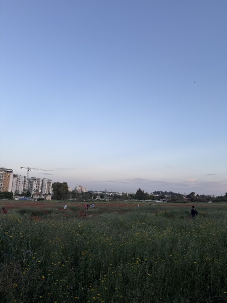 קובץ:2025-03-27T17 49 52.024339807186.jpg