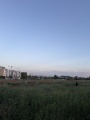תמונה ממוזערת לגרסה מתאריך 15:30, 27 במרץ 2025