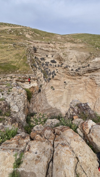 קובץ:2025-03-28T09 58 04.770711606598.jpg