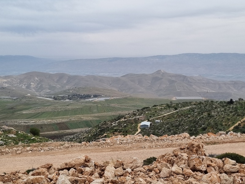 קובץ:2025-03-28T11 11 09.129390778556.jpg