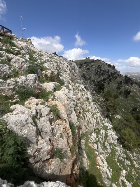 קובץ:2025-03-30T13 27 22.295262180182.jpg