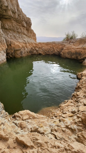 קובץ:2025-04-01T08 25 04.423196628462.jpg