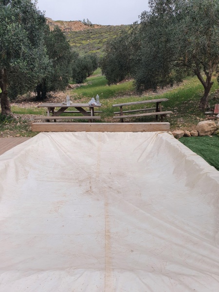 קובץ:2025-04-01T09 55 34.632303259671.jpg