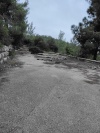 2025-04-01T18 55 14.756889136519.jpg