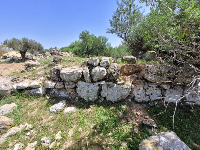קובץ:2025-04-03T12 11 59.341172341089.jpg
