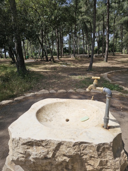 קובץ:2025-04-03T13 39 29.480221828607.jpg