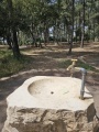 תמונה ממוזערת לגרסה מתאריך 10:20, 3 באפריל 2025