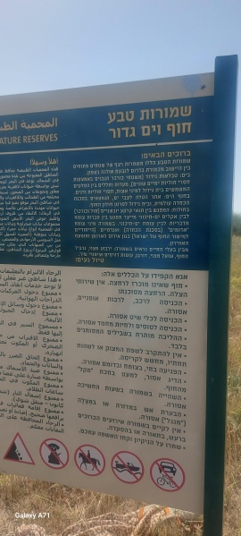 קובץ:2025-04-03T14 48 28.346572338838.jpg