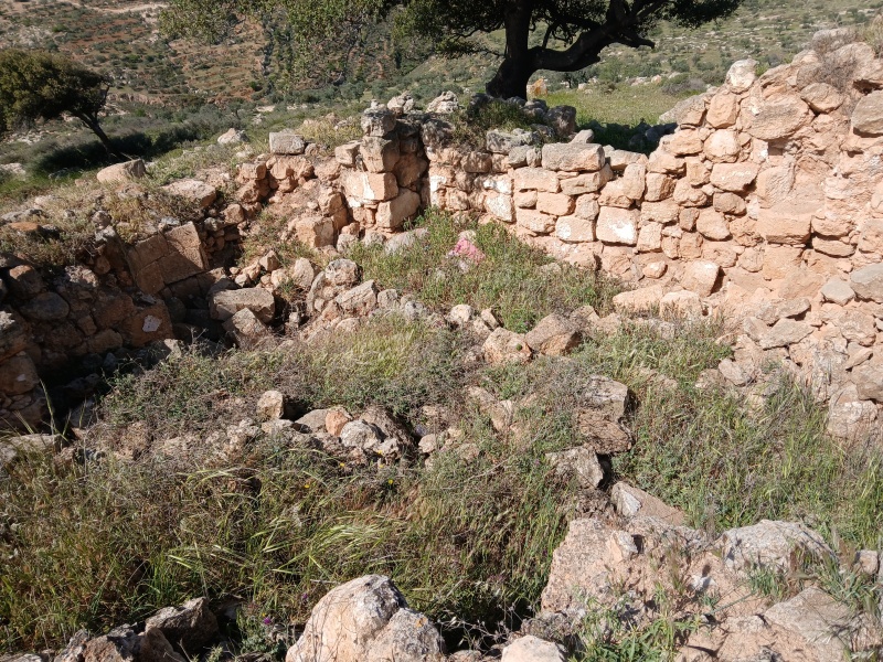 קובץ:2025-04-04T09 57 41.593971676637.jpg